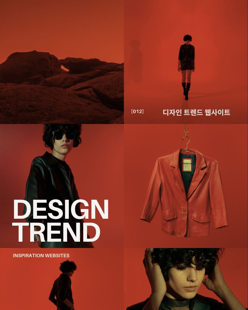 Design Trend Websites