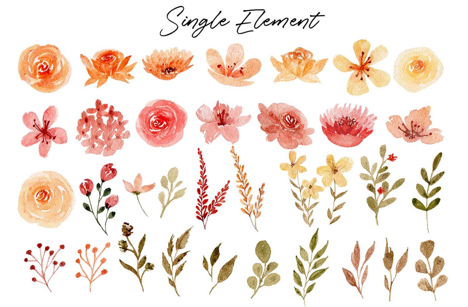 Delicate Orange Hand Painted Watercolor