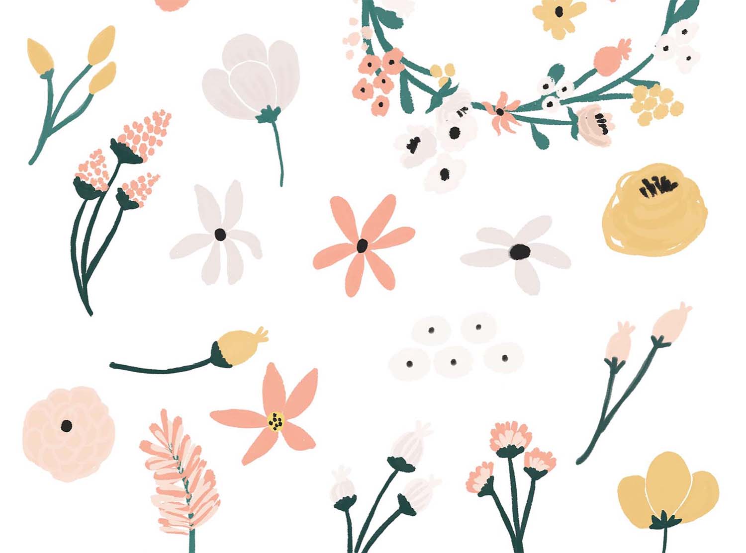 Lillia Floral Free Illustrations