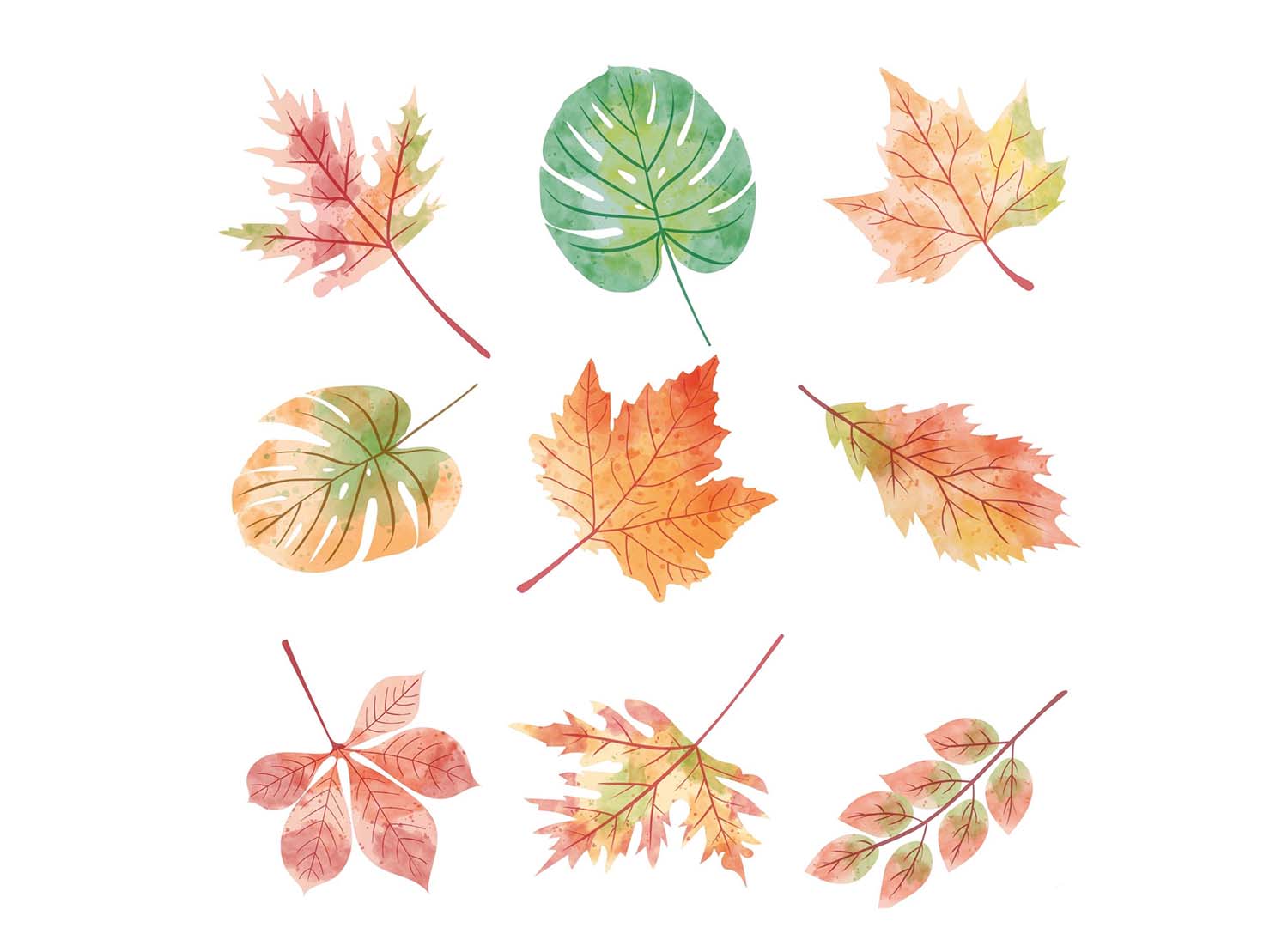 Autumn Leaves Watercolor Vector