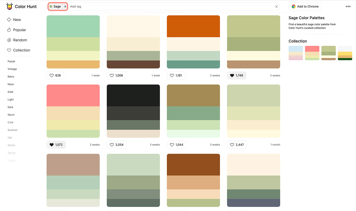 Color Hunt Sage Palette