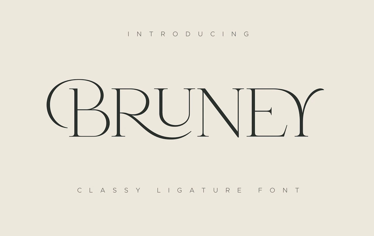 Bruney Classy Ligature Font