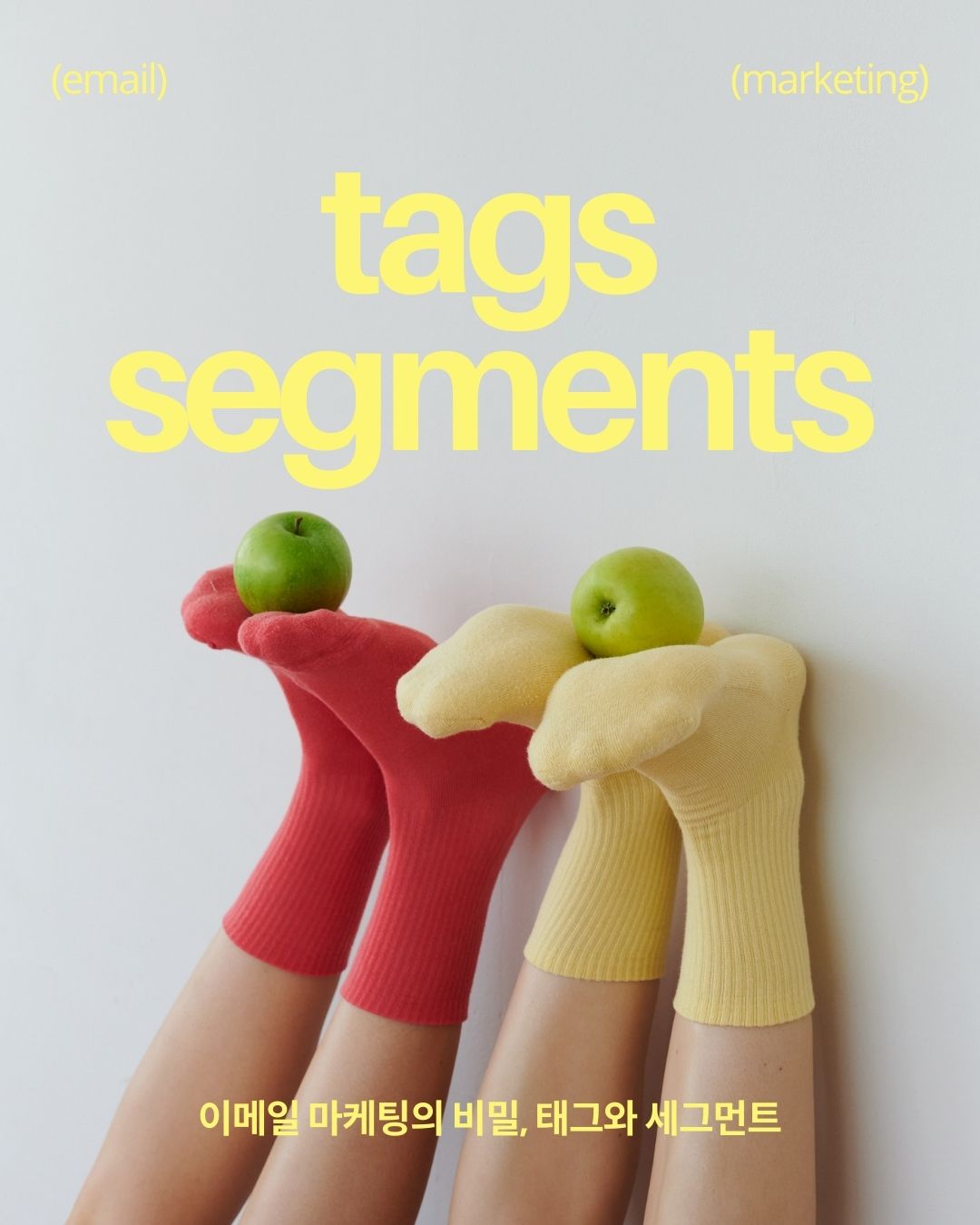 Email Marketing Tags Segments