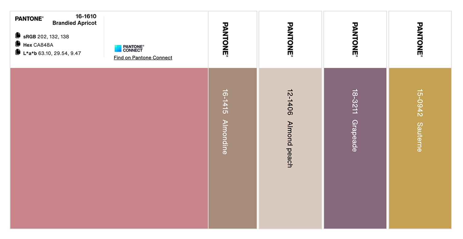 Pantone HEX Code