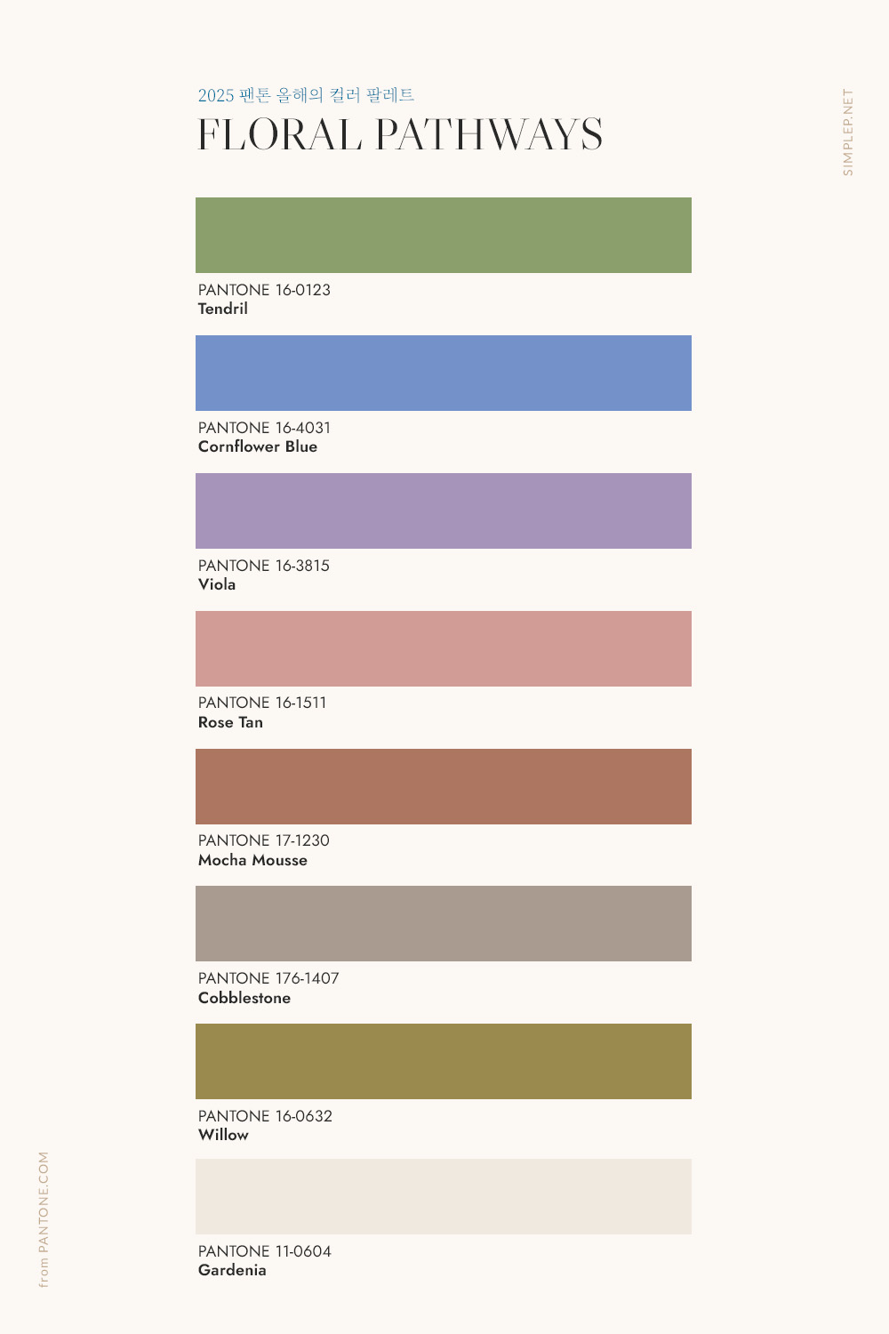 2025 Color of the year