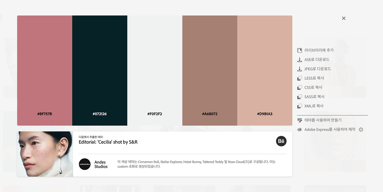 Adobe Color Trends