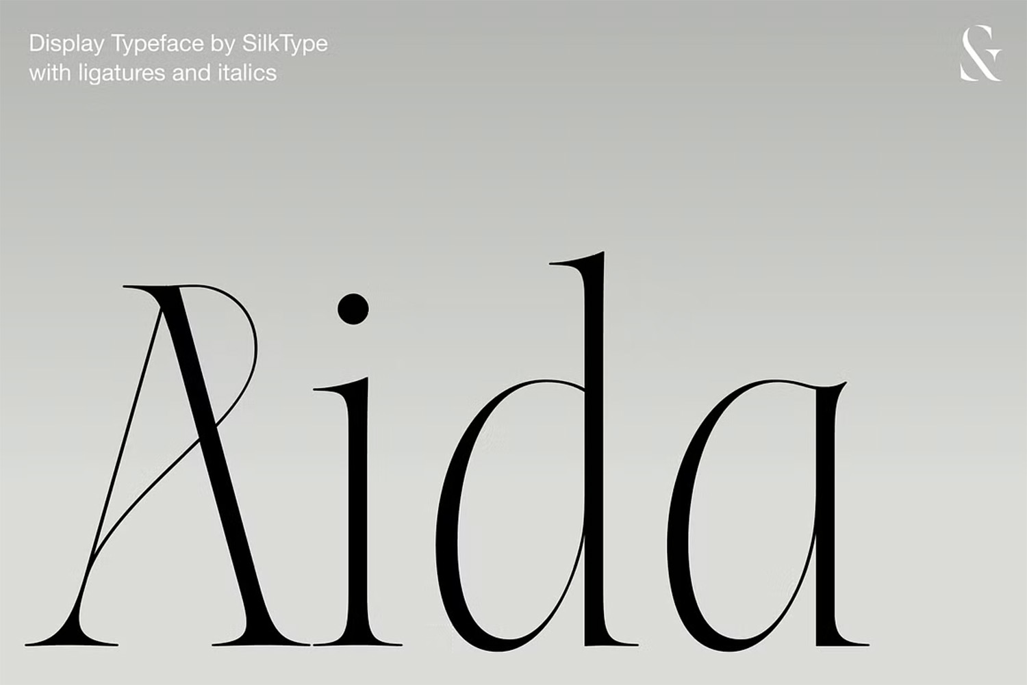 Aida-Serif-Font-1 Aida Serif Font