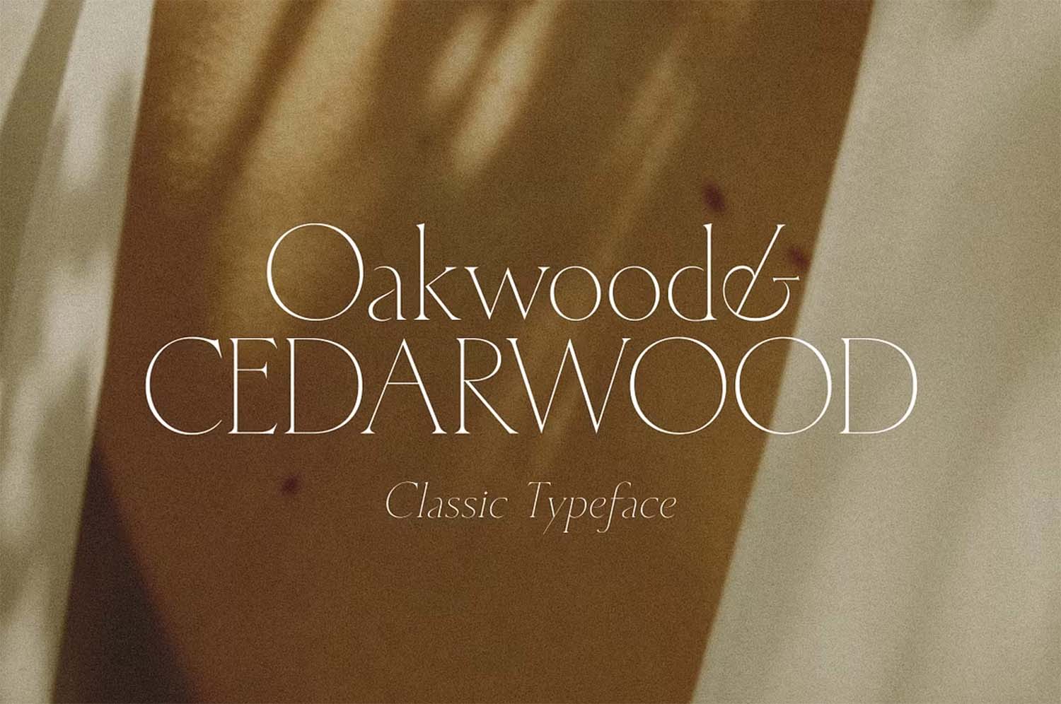 Cedarwood-Classy-Serif-1 Cedarwood Classy Serif