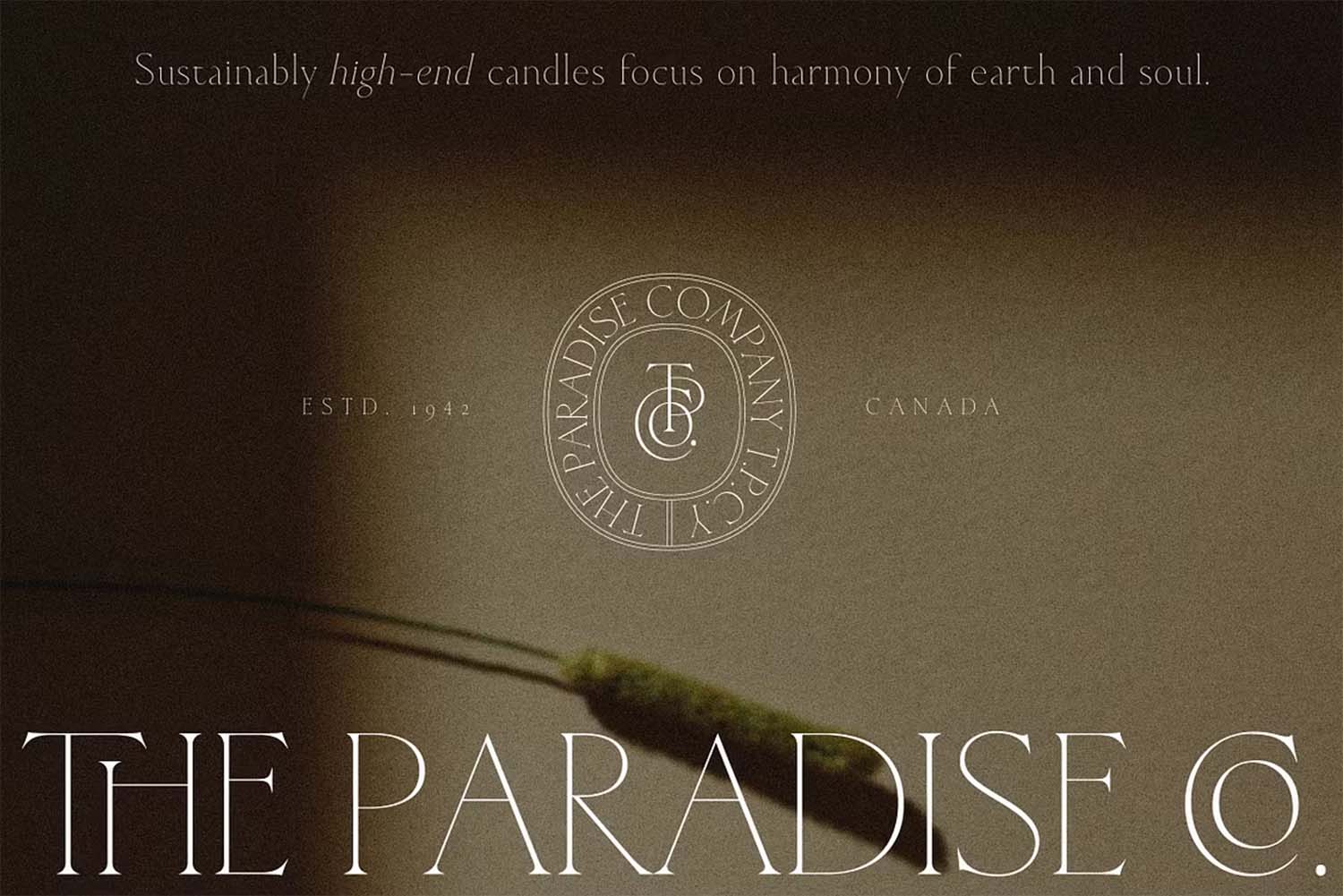 Cedarwood-Classy-Serif-2 Cedarwood Classy Serif